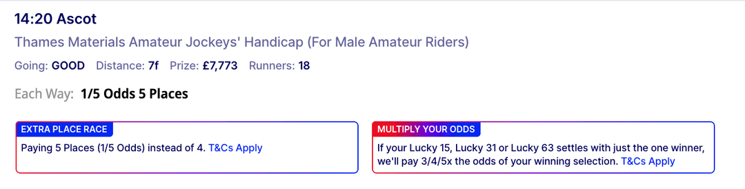 Annotated racecard highlighting distance, going, class, and runners
